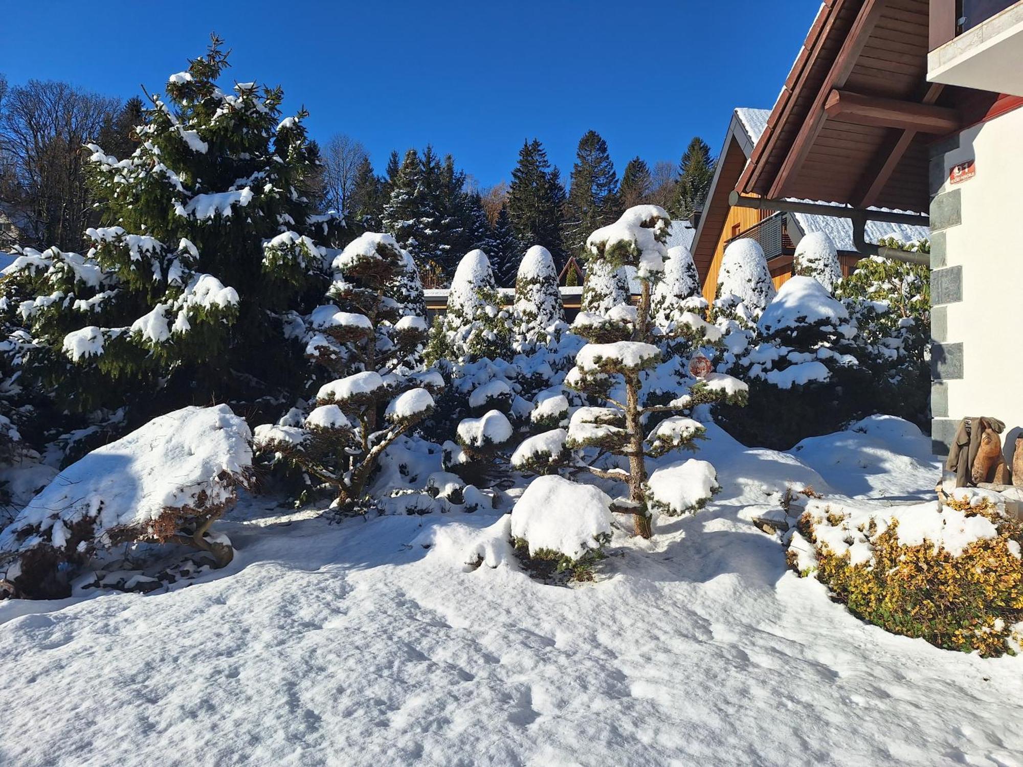 Pohorje Zen Garden *