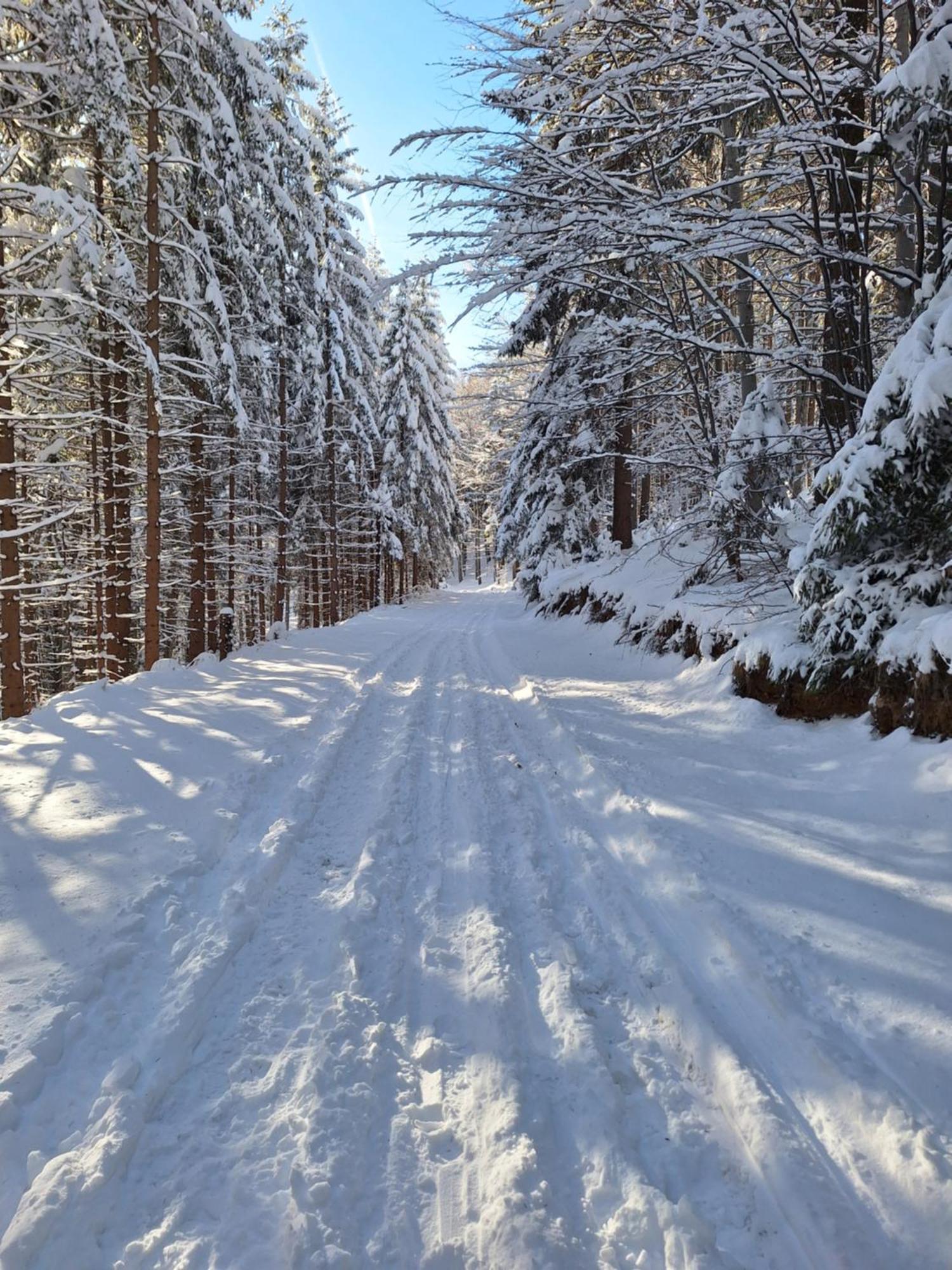 Pohorje Zen Garden Hočko Pohorje